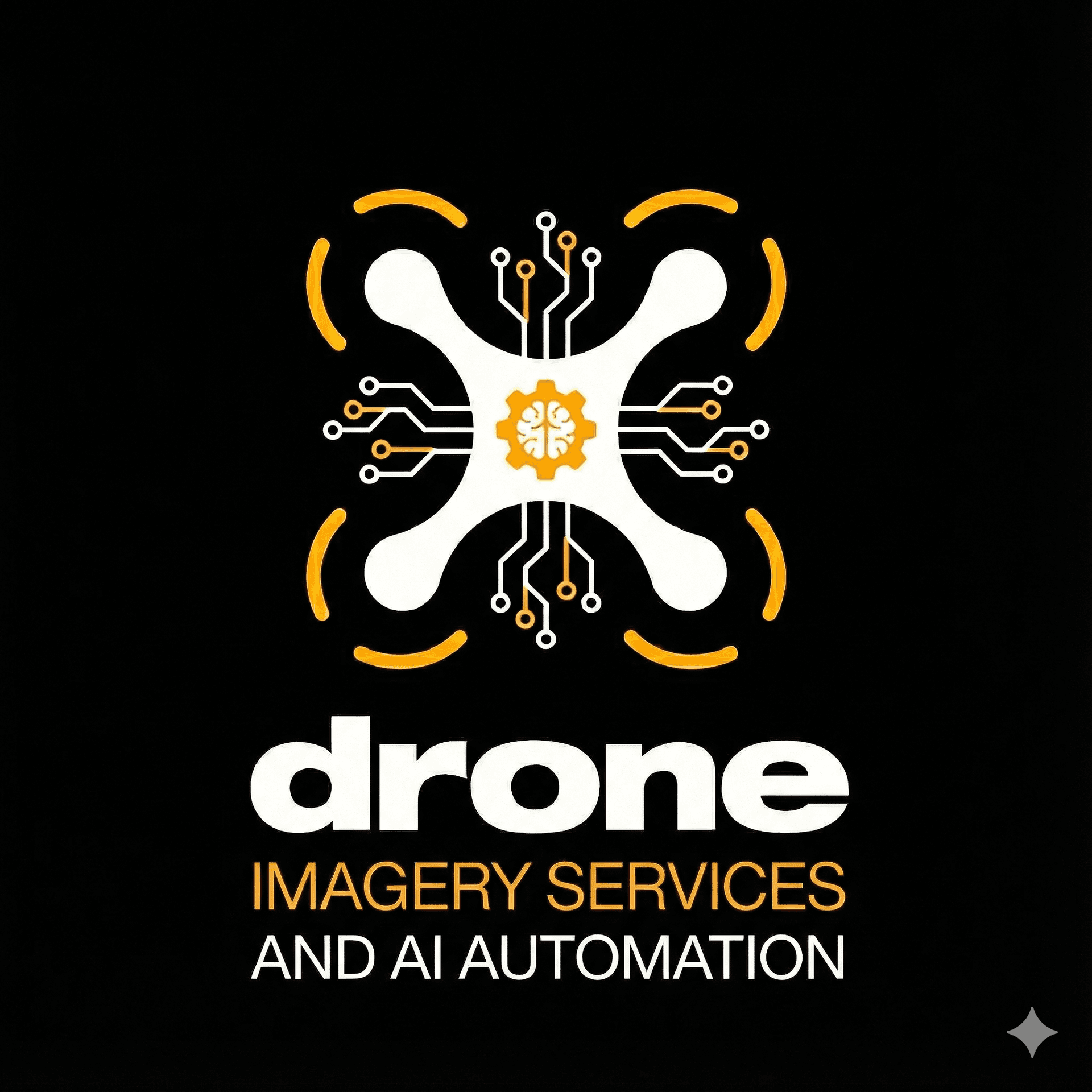 Drone Imagery Services logo