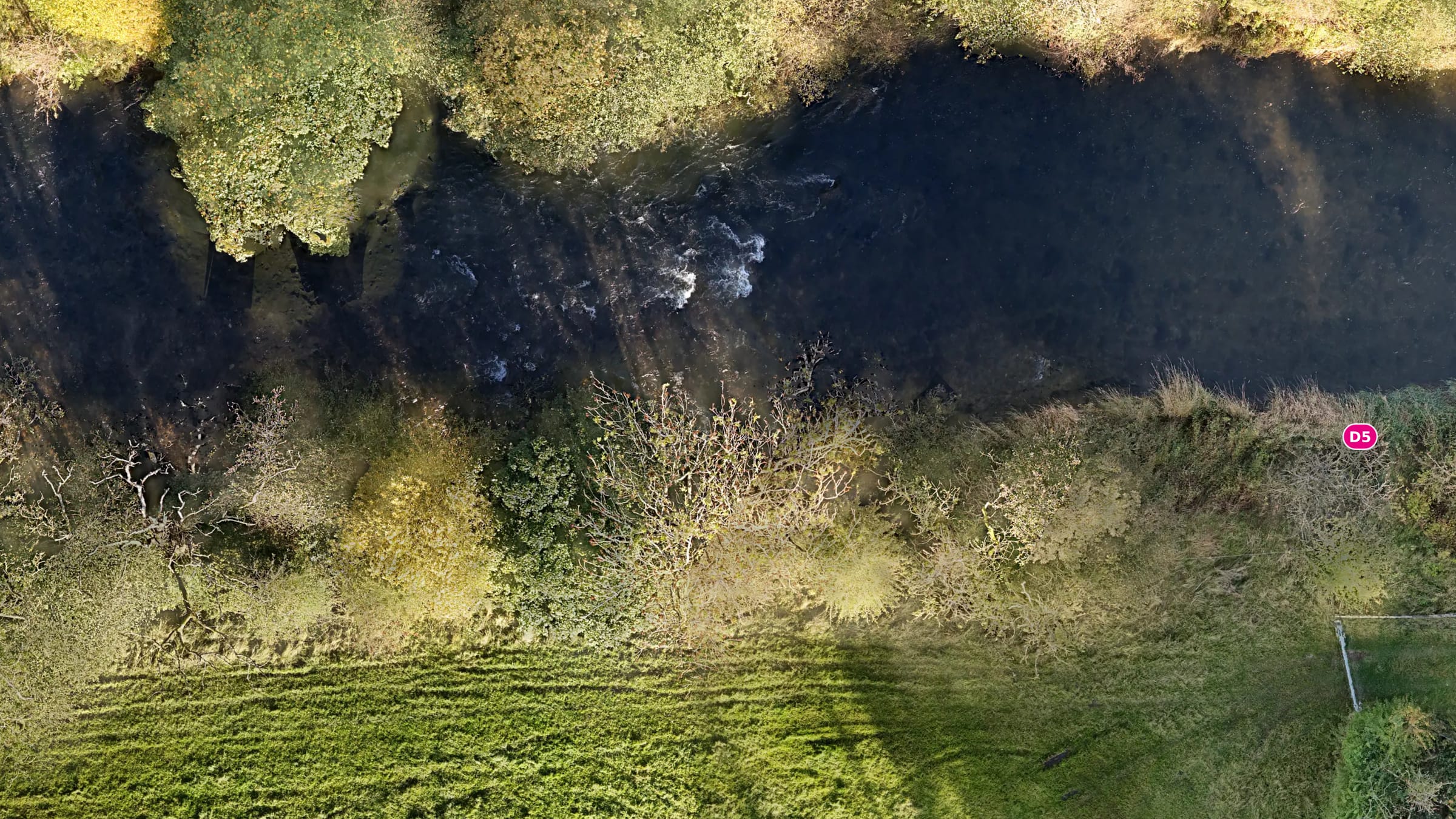 The River Cocker at Cockermouth from the air, the riverbank flown for the invasive plant demonstration survey